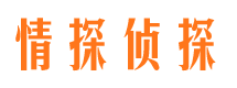 平武市婚外情调查